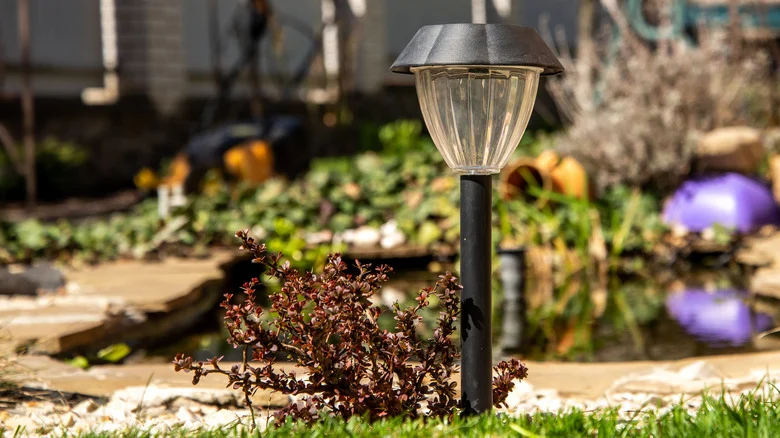 Turn An Old Solar Light Into The Cutest Succulent Planter