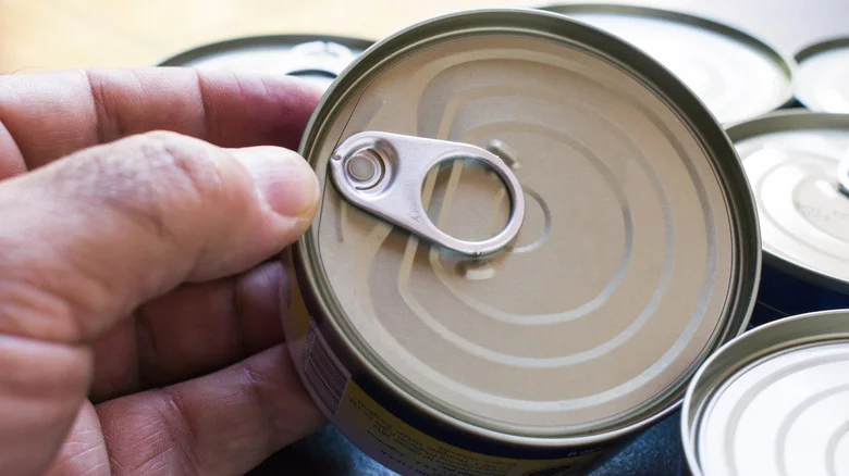 Turn An Old Tuna Can Into The Cutest Planter For Succulents