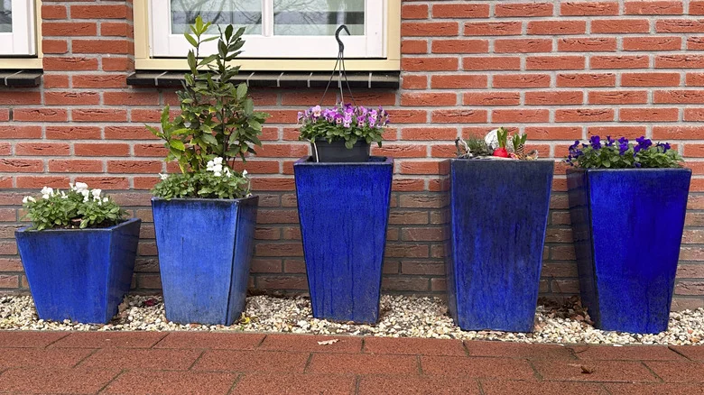 Turn Trash Into Treasure By Repurposing These 12 Common Household Items Into Plant Pot Fillers
