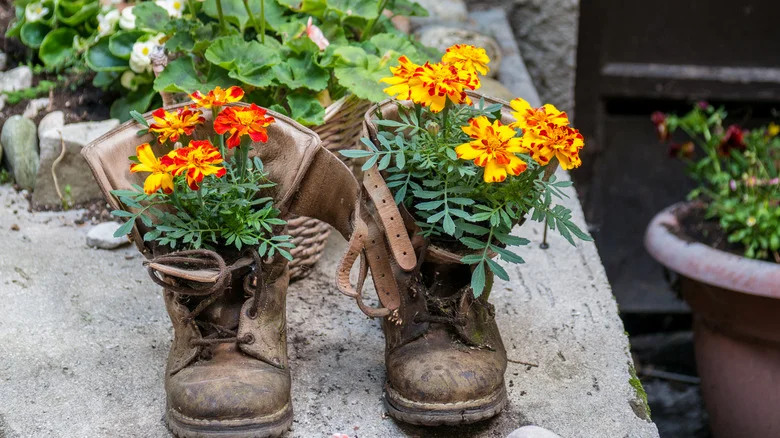 Upcycle Old Shoelaces And Scrap Wood Into A DIY Gardening Shelf