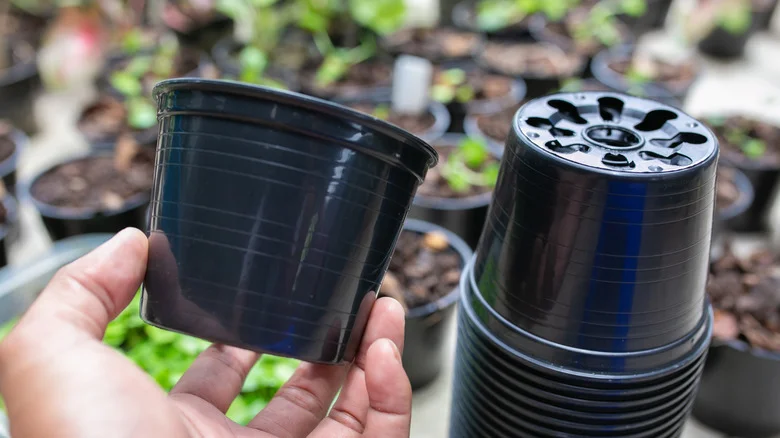 Upcycle Plastic Nursery Pots Into The Cutest Planter For Succulents