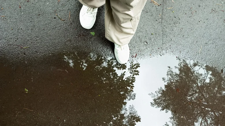 Upgrade Your Driveway Edge Using A Low-Cost, Natural Feature That Prevents Flooding
