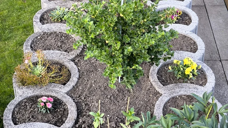 Use A Functional, Cheap Material To Mold Concrete For Planters