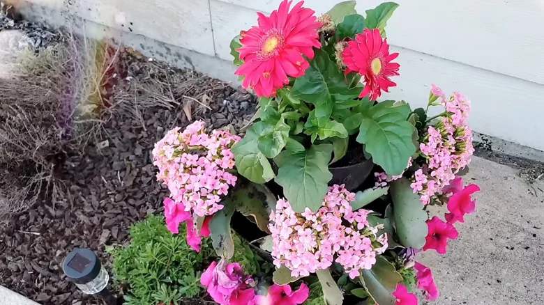Use A Pool Noodle To Create A Stylish & Sturdy Stacked Planter For Your Yard