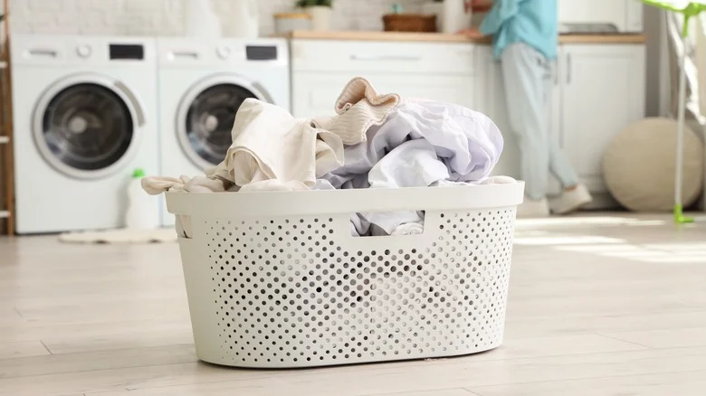 Use Dollar Tree Laundry Baskets As A Budget-Friendly Way To Protect Your Garden
