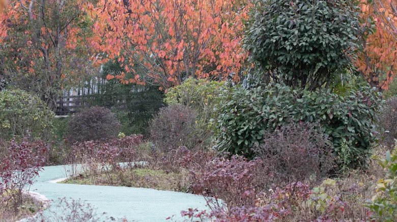 Use Dying Garden Flowers To DIY Fall & Winter Displays For Your Home
