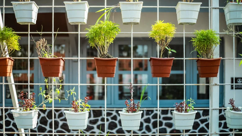 Use Insanely Affordable Buckets To Build Your Dream Herb Garden
