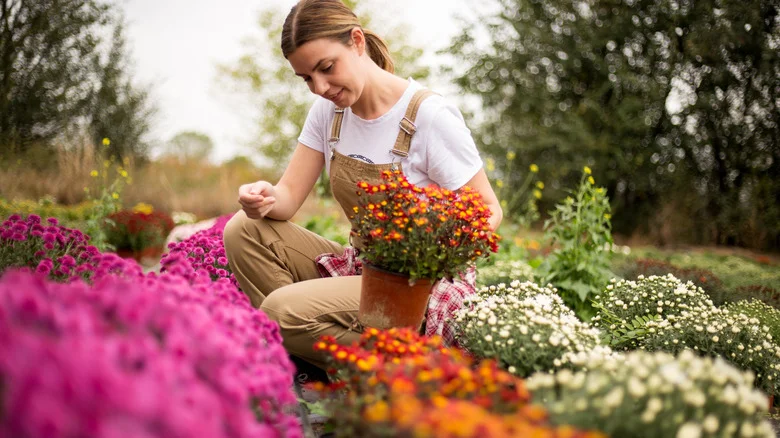Use Joanna Gaines’ Simple Plant Trick To Freshen Up Your Home As Seasons Change