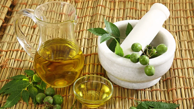 Use Neem Oil To Fight Off This Common Household Pest