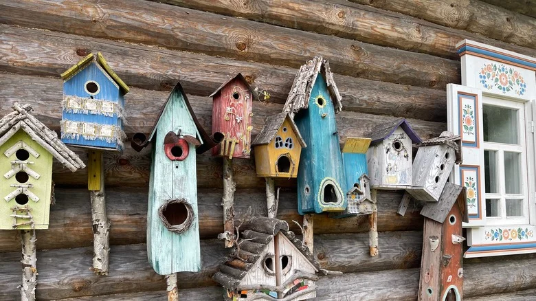 Use These 8 Stunning Colors On Your Birdhouse To Attract More Flying Friends