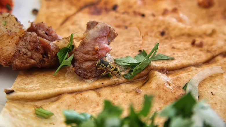 Use This Genius Penny Hack To Keep Wasps Away From Your Barbecue