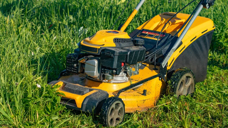 Warning Signs That Indicate Your Lawn Mower’s Blades Need Sharpening
