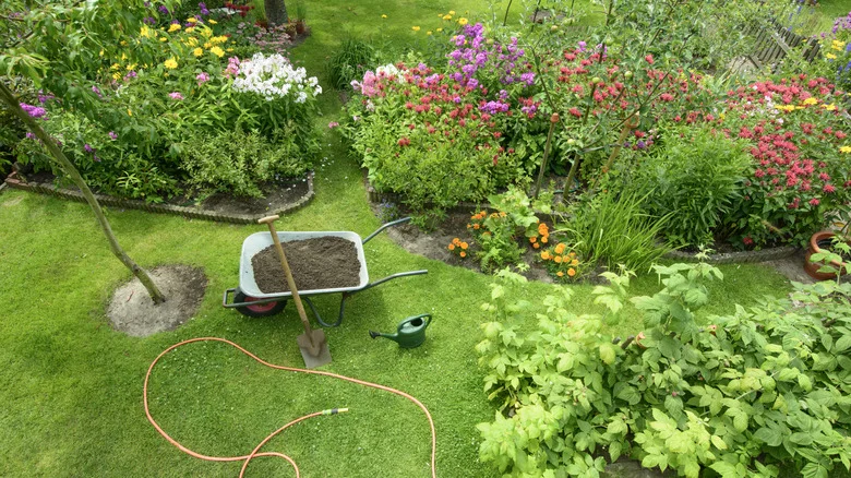 Warning Signs That Your Plants Aren’t Getting Enough Calcium
