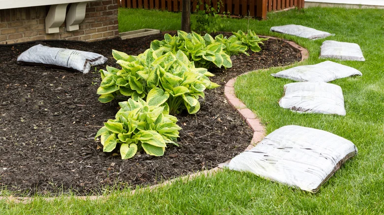Ways To Reuse Soil Or Mulch Bags In The Garden For Less Waste At Home