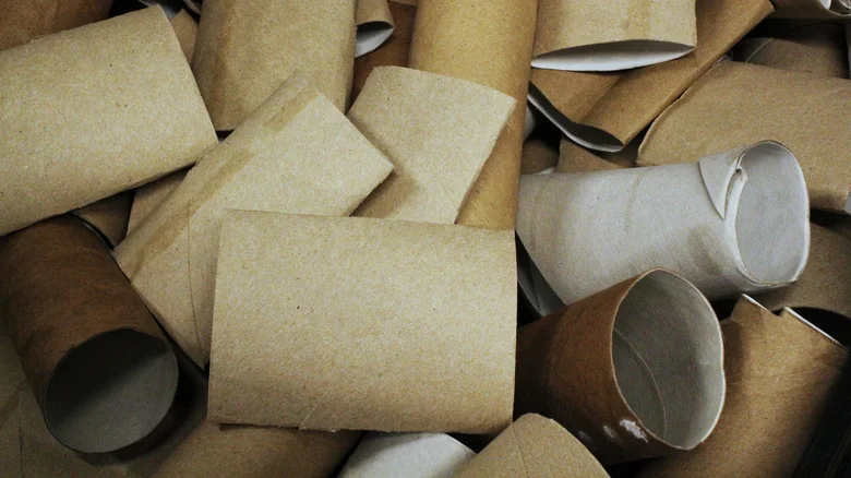 Ways To Use Toilet Paper Tubes For Pest Control You Probably Hadn’t Thought Of