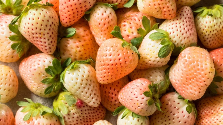We Know The Secret To Growing Those Delicious White Strawberries And It’s A Must-Try