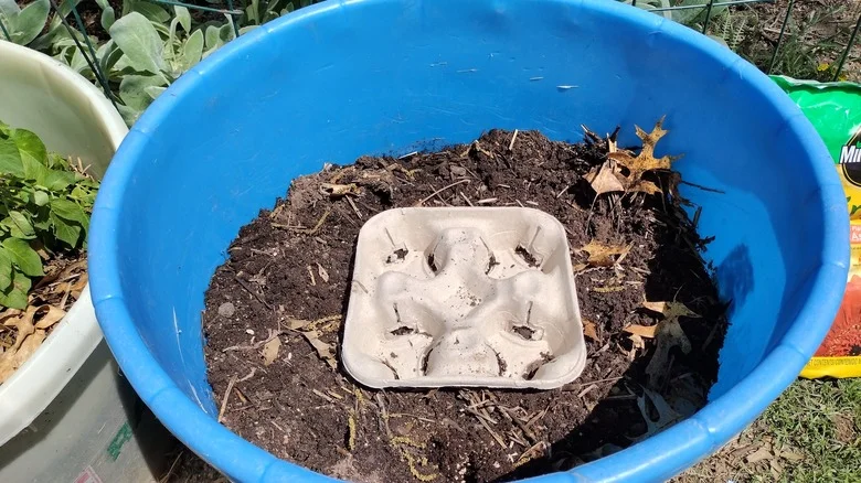 We Tried Using Cardboard Drink Holders To Space Garden Seeds With TK Results