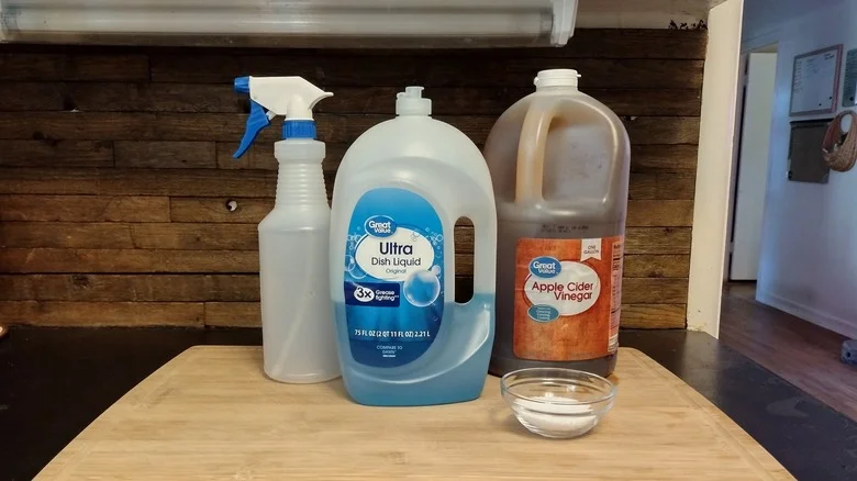 We Tried Using This Homemade Weed Killer To Remove Grass With TK Results