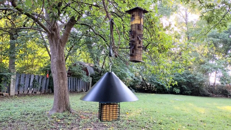 We Used A Cheap Baffle From Amazon To Keep Squirrels Off Our Bird Feeders And We Aren’t Terribly Impressed