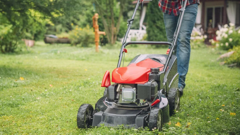 What Does ‘V’ Mean On A Lawn Mower?