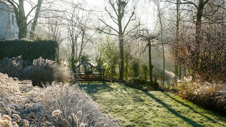 What Freeze Levels Mean For Your Lawn And Garden This Winter