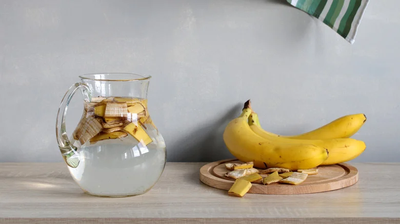 What Happens To Pumpkin Plants When You Add Banana Peels