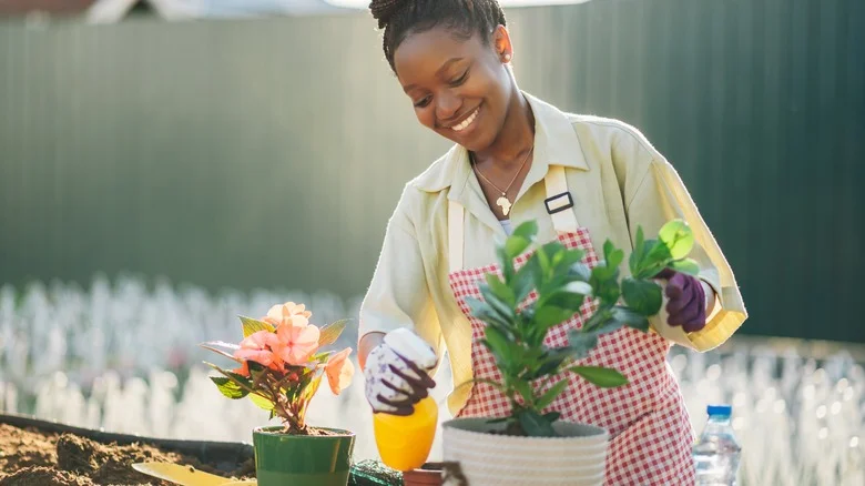 What Happens To Your Flowers If You Add Styrofoam For Improved Drainage