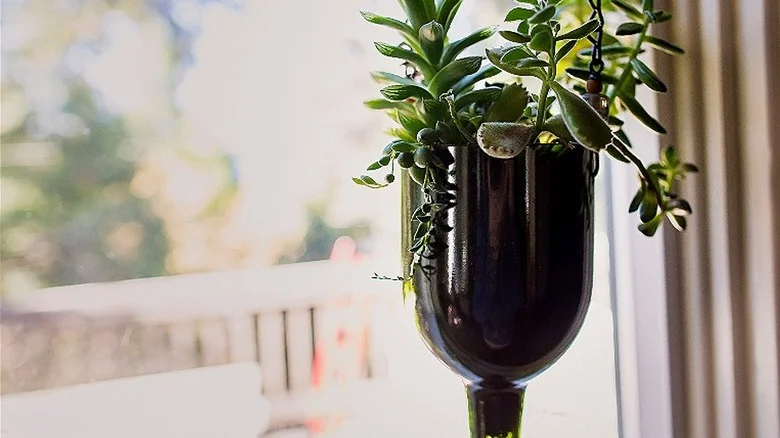 What Is A Bottle Garden (And How To Make Your Very Own)