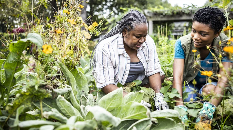 What Is Self-Sufficient Gardening And How To Get Started