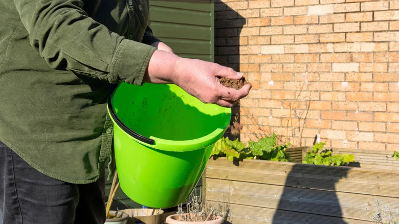 What Is Sharp Sand And Is It Right For Your Garden?