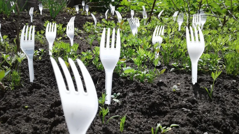 What It Means If You See A Bunch Of Forks In Someone’s Yard