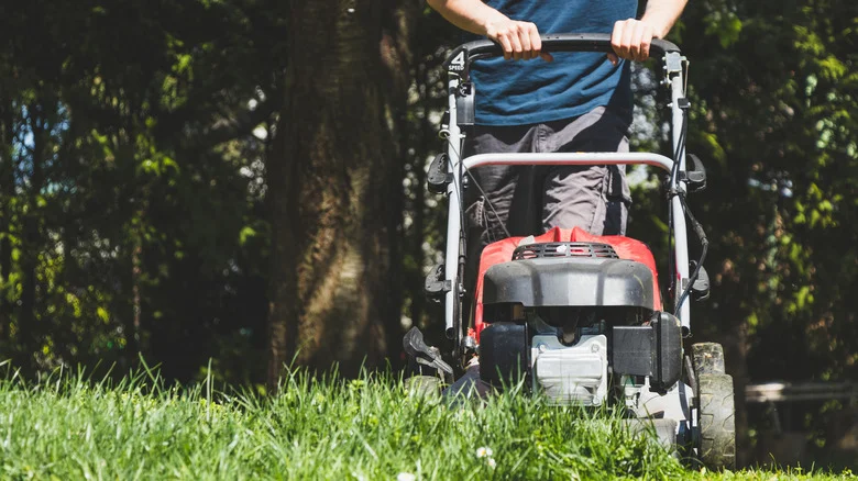 What It Means If Your Mower Is Self-Propelled