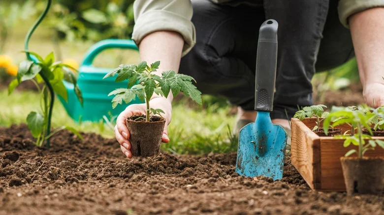 What NPK Fertilizer Really Means (And How To Know If It’s Right For Your Yard And Garden)