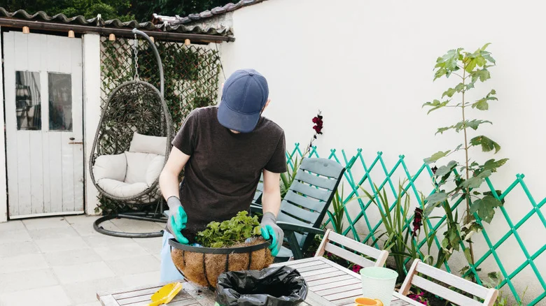 What To Do If You Find Potted Plant Stains On Your Concrete Patio