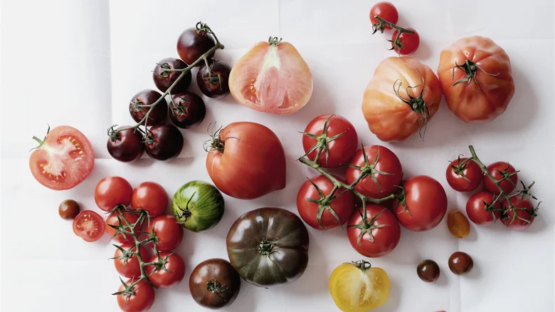 What Tomato Variety Has The Quickest Harvest Time?