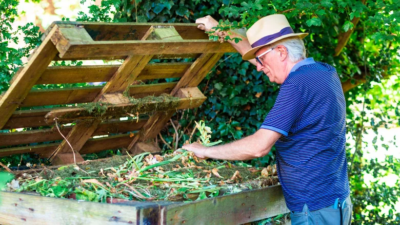 What You Need To Know Before Adding Diseased Plants To Your Compost Pile