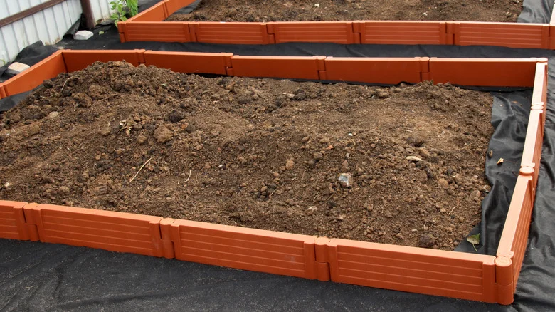 What You Should Know Before Lining Your Raised Garden Beds With Plastic