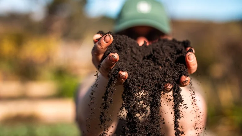 What Your Garden’s Soil Color Really Means And Why It Matters