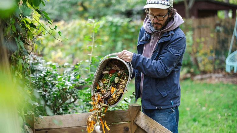 What’s The Best Brown/Green Ratio For Compost? It Depends