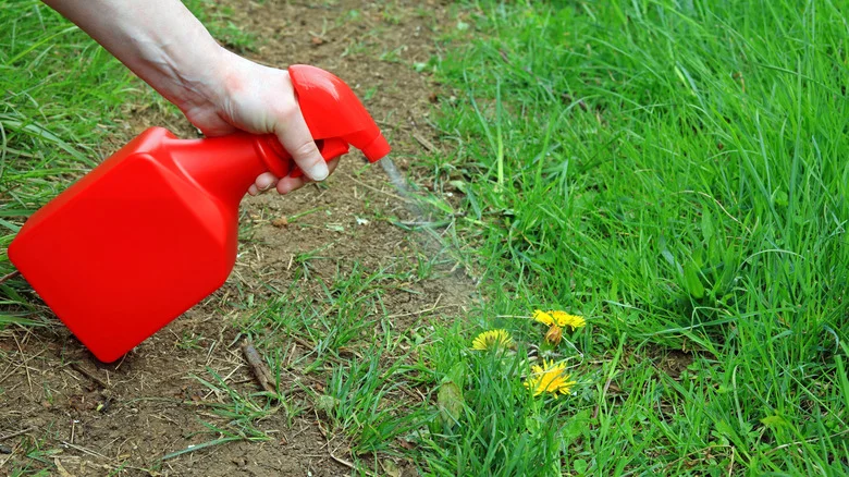 What’s The Point Of Bleaching Grass?