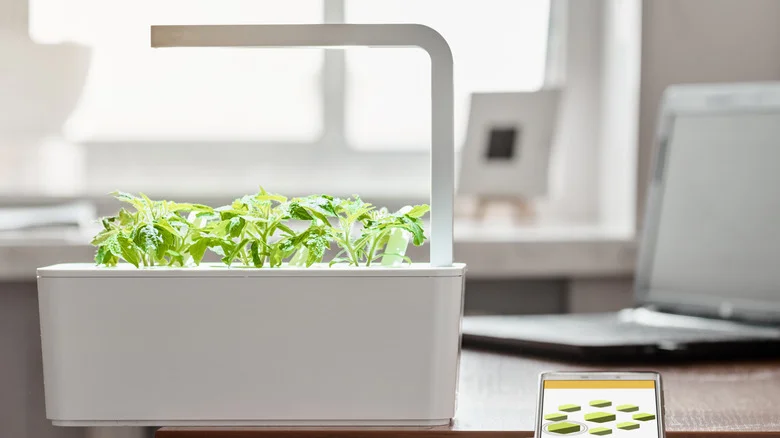 Why A Smart Garden Can Improve Your Home, And How To Start One