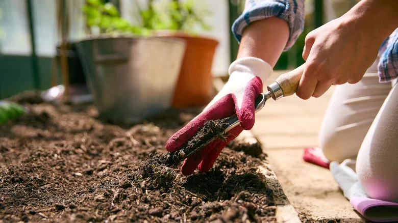 Why And How People Use Hydrogen Peroxide For Greenhouse Soil (& Should You Try It?)