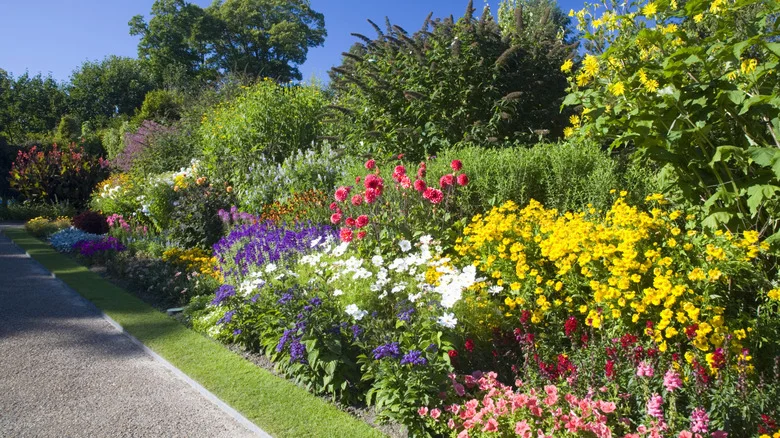 Why Color Matters When Planting A Garden (& 2 Colors To Avoid)
