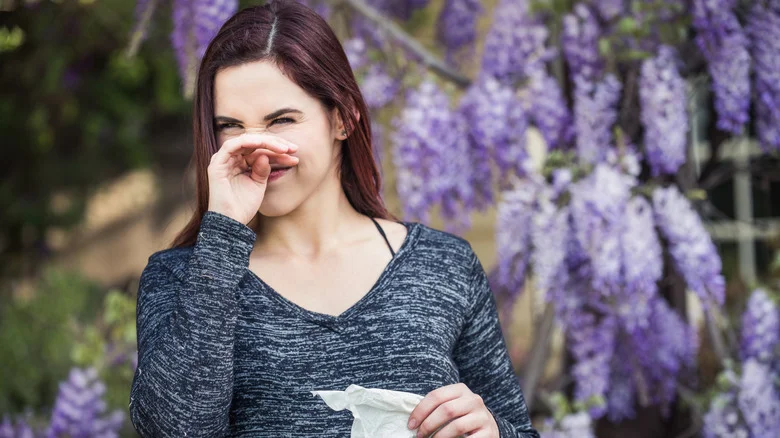 Why Does My Yard Smell? 12 Reasons And Some Easy Fixes