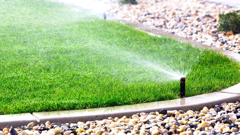 Why Homeowners Are Ditching Sprinklers And What They’re Using Instead