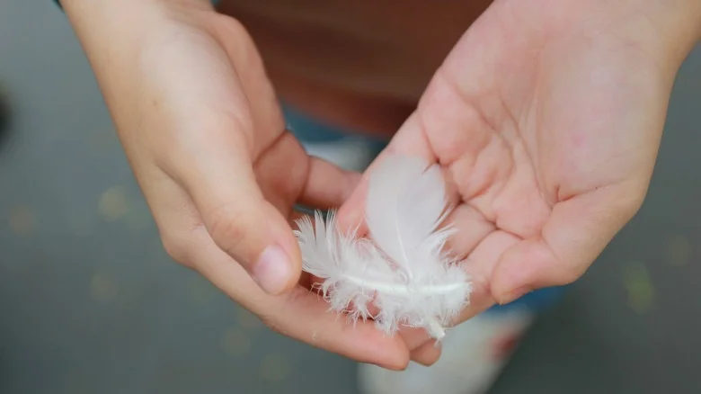 Why People Bury Bird Feathers In Their Garden Soil (& Should You Try It?)