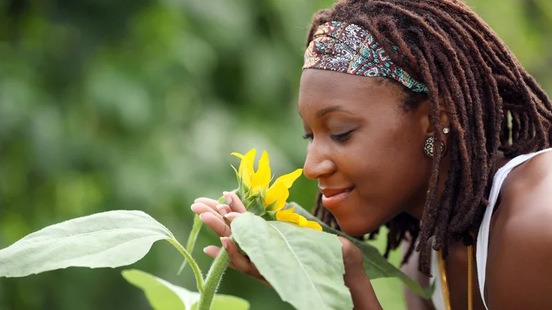 Why The Flowers In Your Garden May Soon Lose Their Fragrance