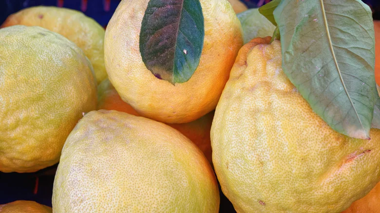 Why The Fruit From Your Lemon Tree Looks Lumpy And What You Can Do About It