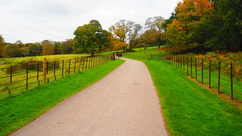 Why The Grass Along Your Driveway Edging Is Turning Brown (& How To Revive It)