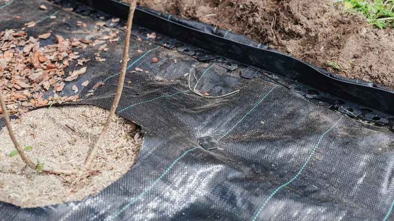 Why There’s Simply No Need For Traditional Landscape Fabric Anymore